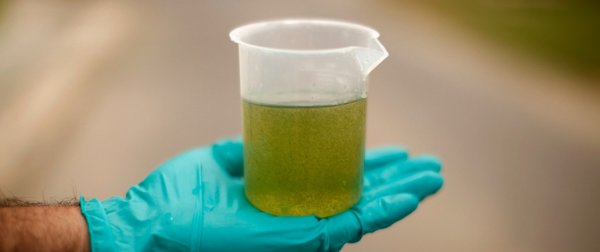 Publicada resolução que reduz percentual de biodiesel no óleo diesel