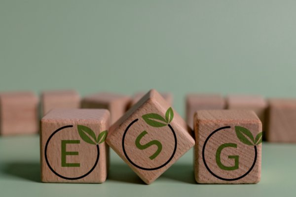 A verdade sobre ESG que todo executivo precisa saber